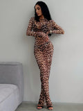 Hugcitar Leopard Print Mesh Long Sleeve Sexy