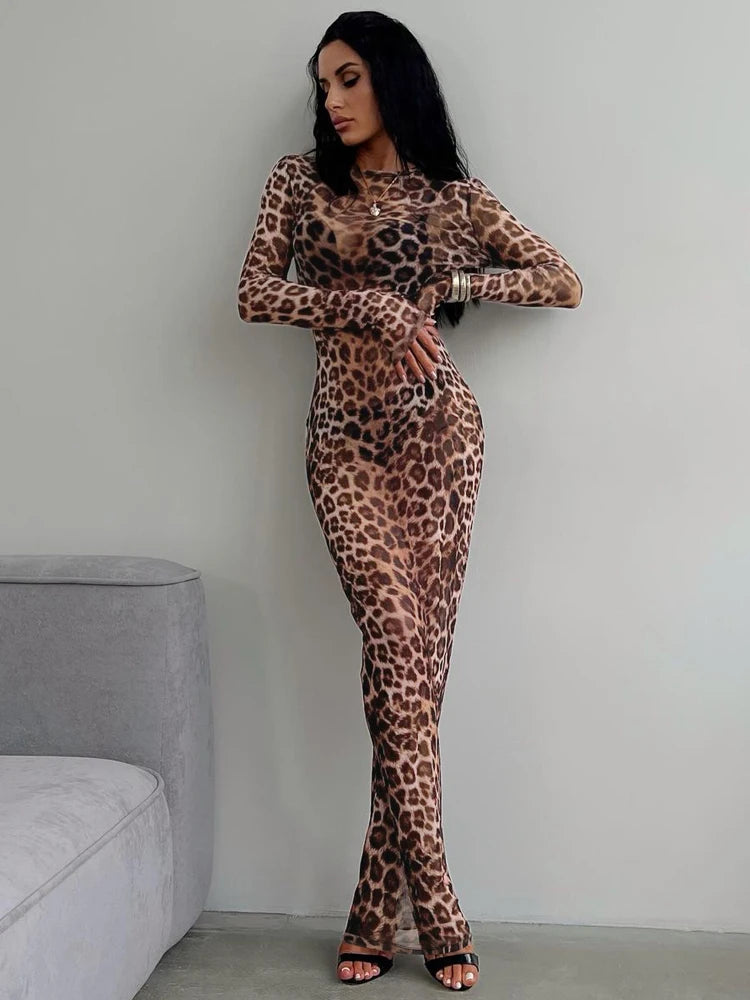 Hugcitar Leopard Print Mesh Long Sleeve Sexy